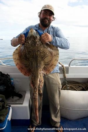 Beautiful Undulate Ray