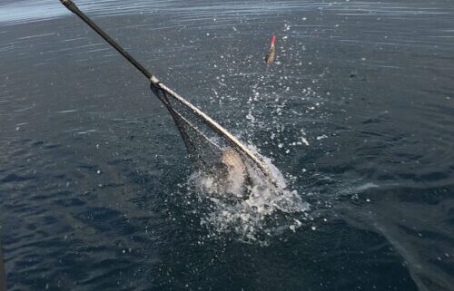 Family Fishing